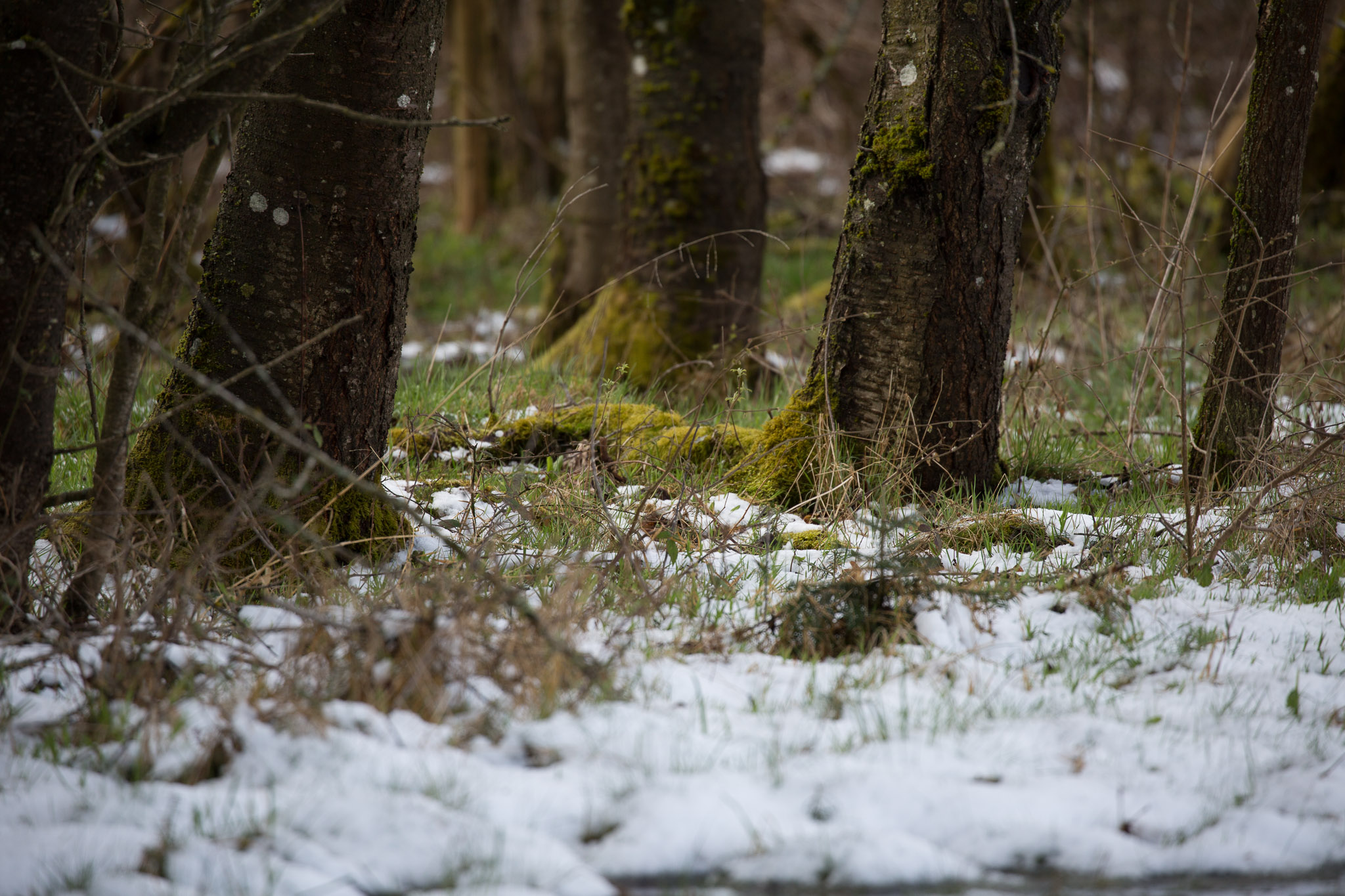 20220409143526 3K6A1902